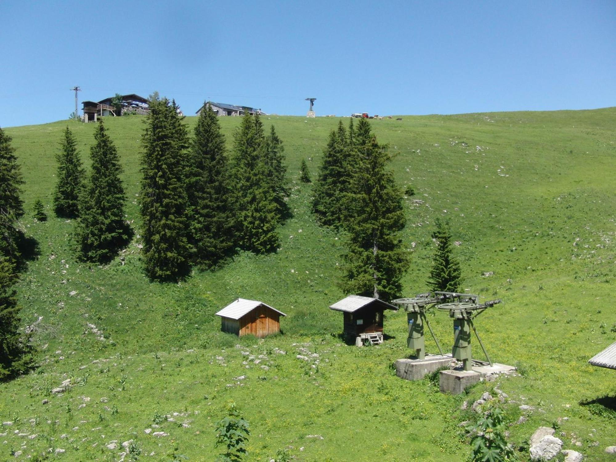 Gaestehaus-Pension Barbara Andelsbuch Exteriör bild