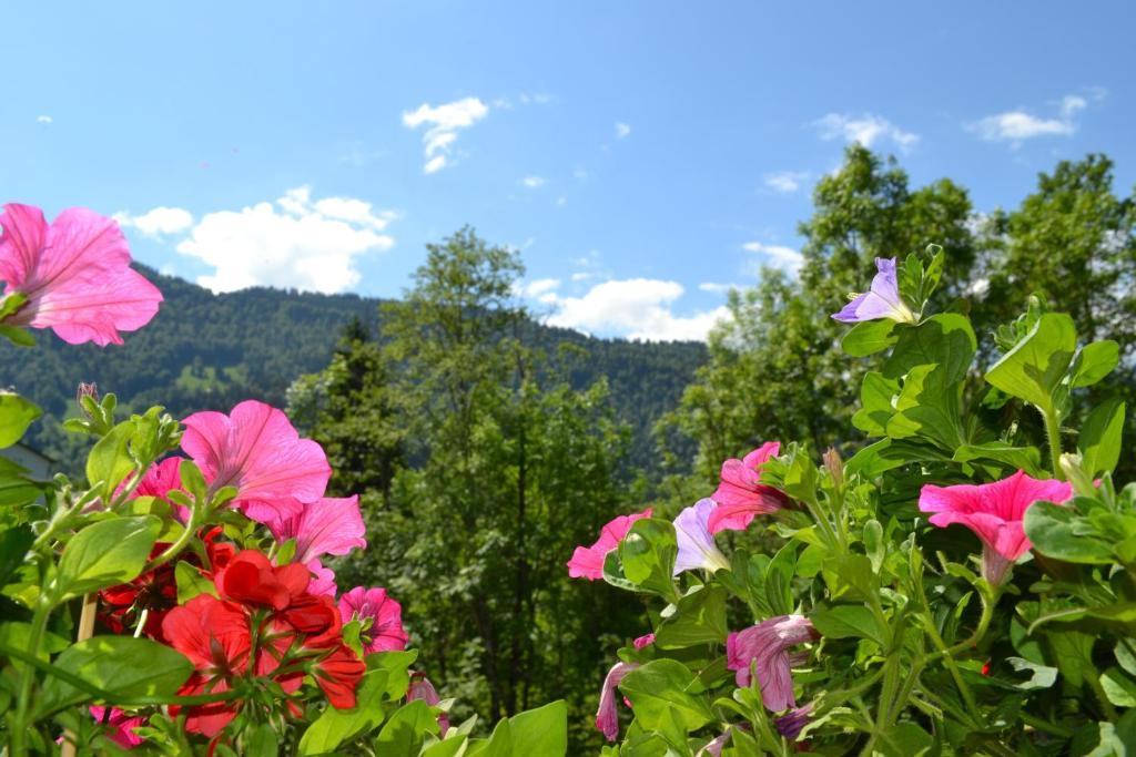 Gaestehaus-Pension Barbara Andelsbuch Rum bild